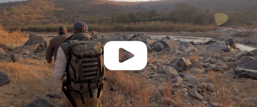 walking safaris ogomeni trails camp