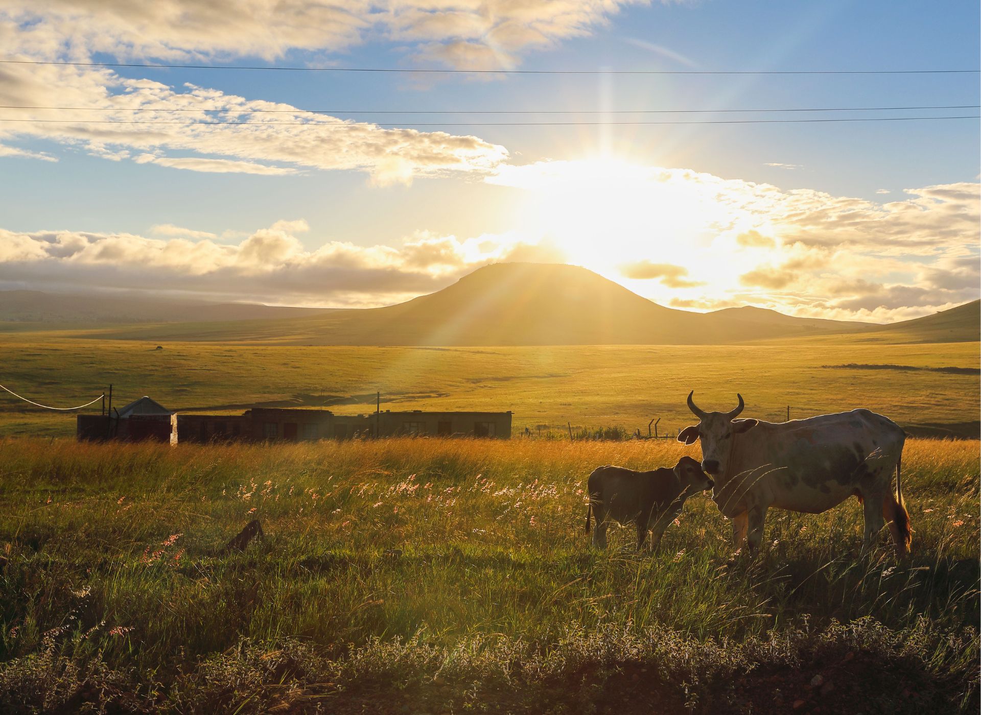 the babanango foundation