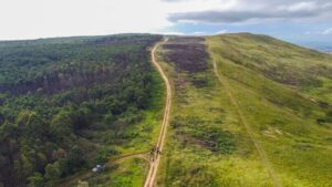 conservation rehabilitation