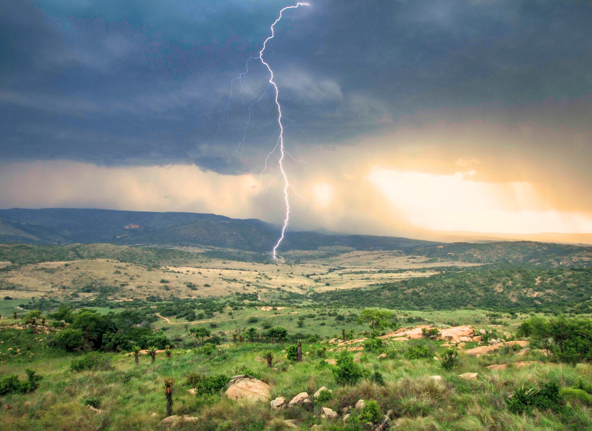 best time to go on safari
