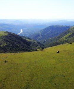 rolling grasslands at babanango game reserve