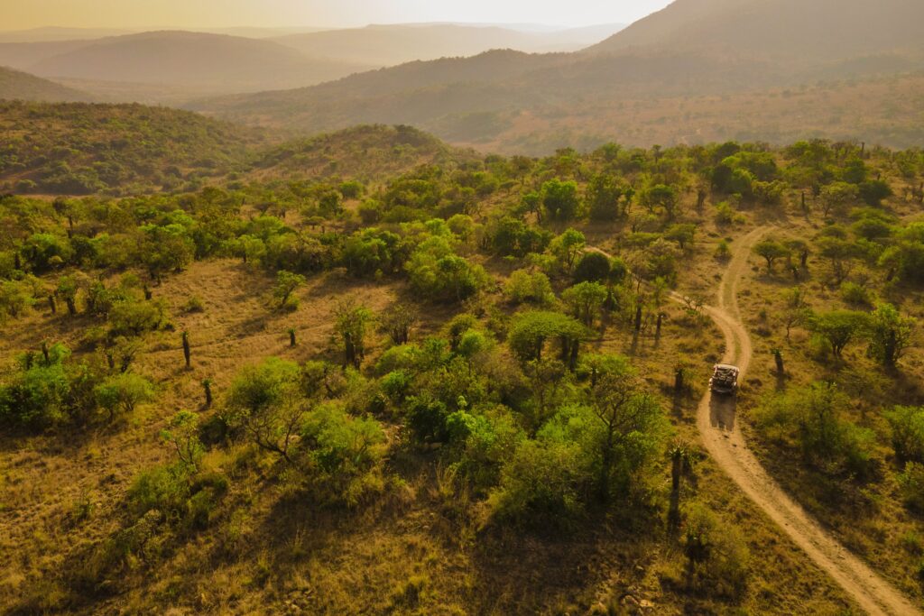 south african safari lodge