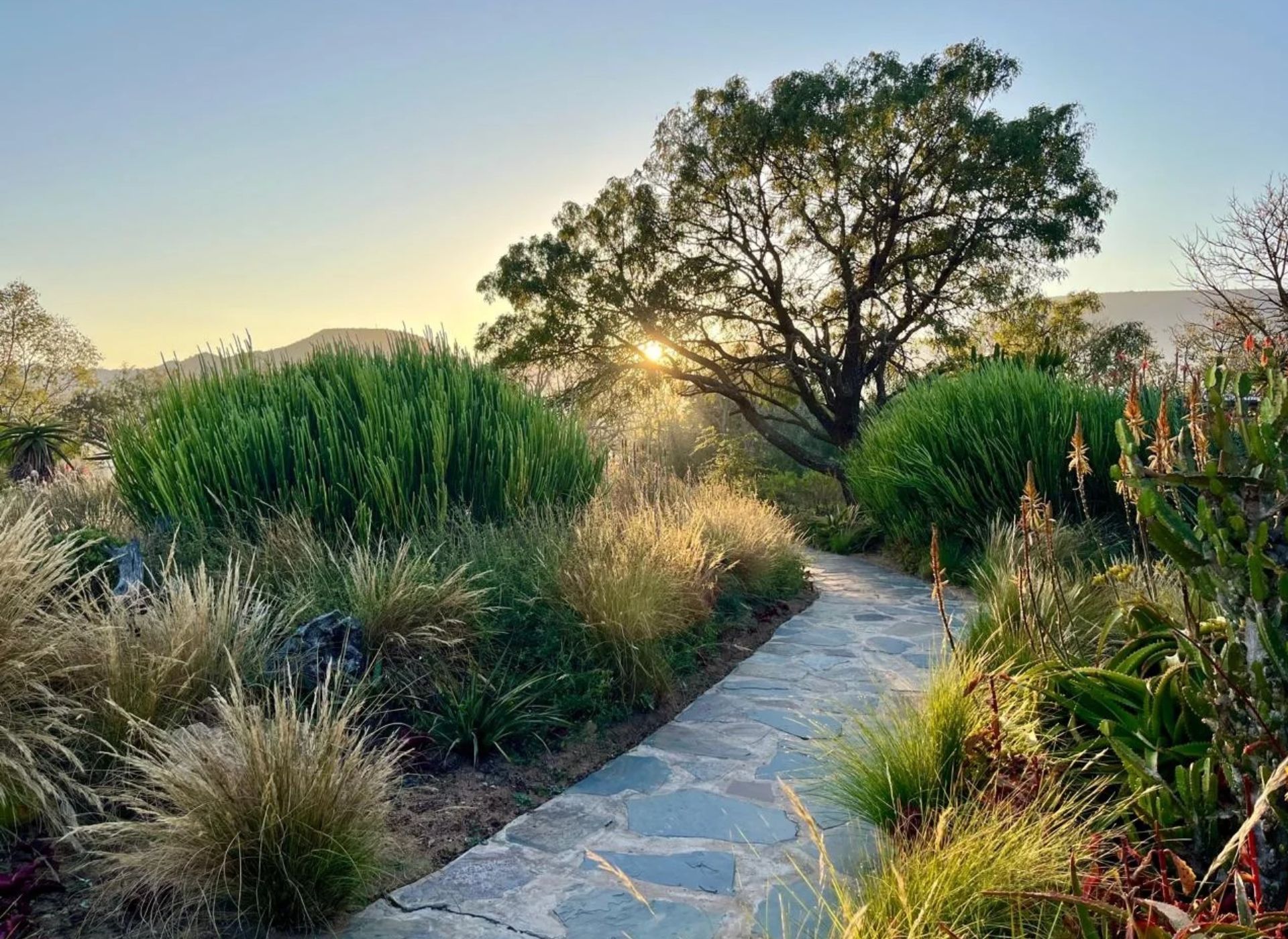 babanango valley lodge gardens