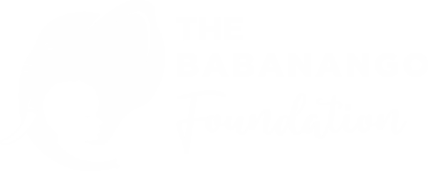 The Babanango Foundation Logo (PNG) - White T